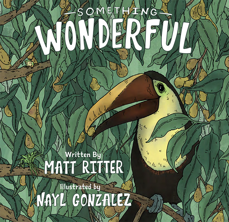 Something Wonderful (Hardcover)