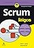Scrum Para Leigos