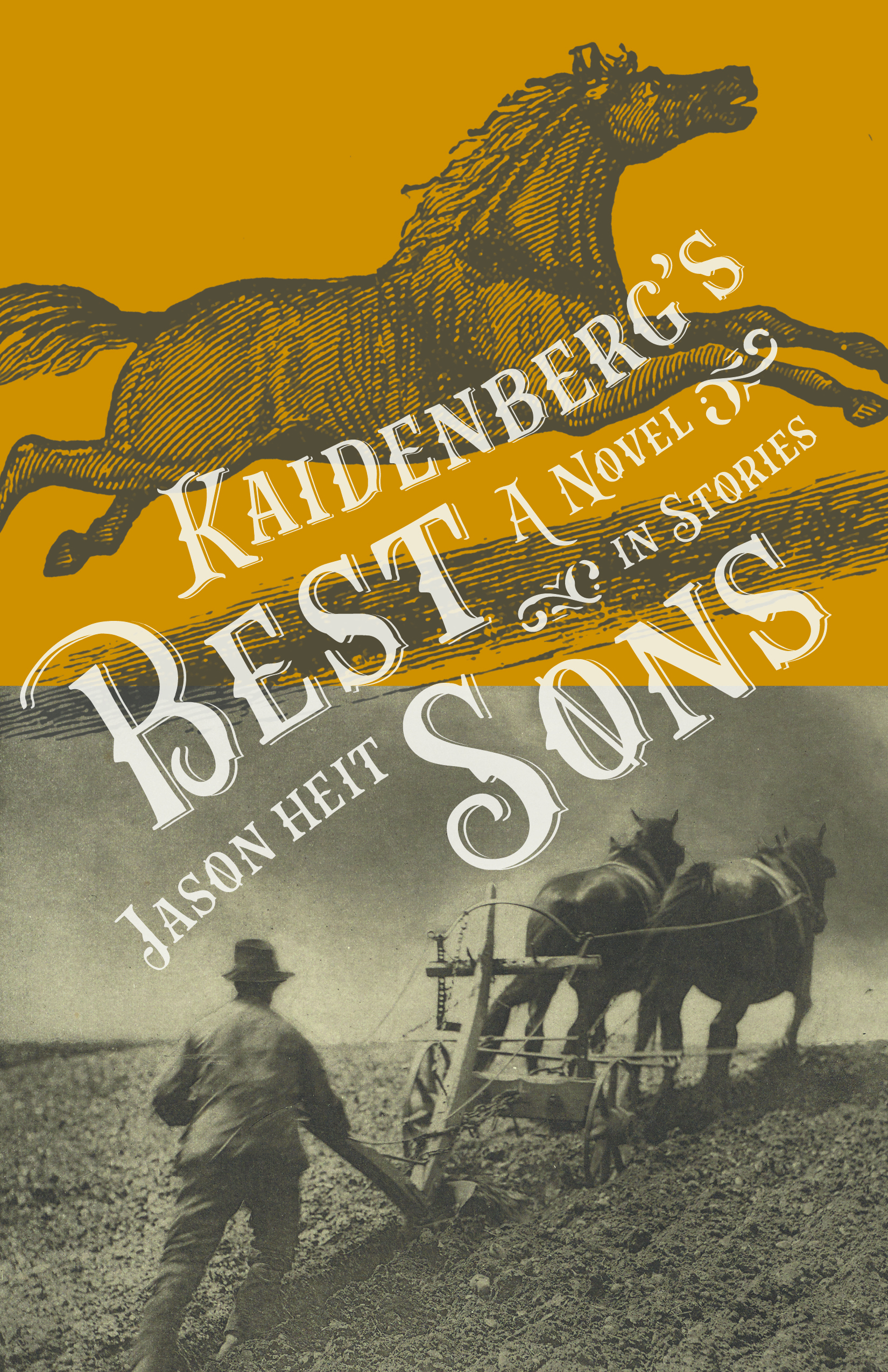 Kaidenberg's Best Sons: A Novel in Stories