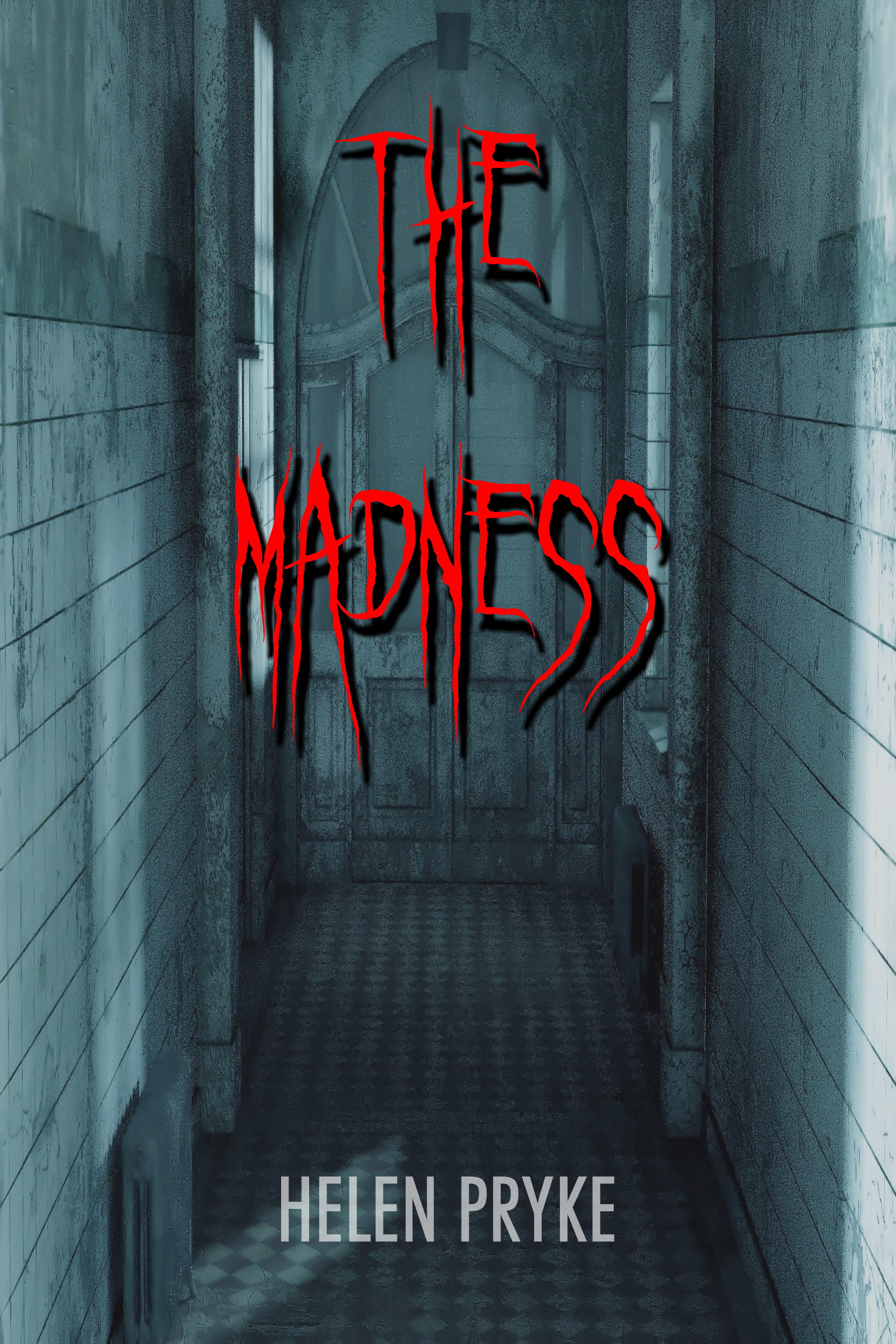 The Madness (Kindle Edition)