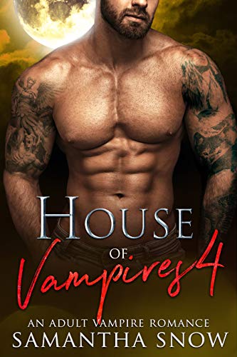 House Of Vampires 4: The Puzzle (Lorena Quinn, #4)