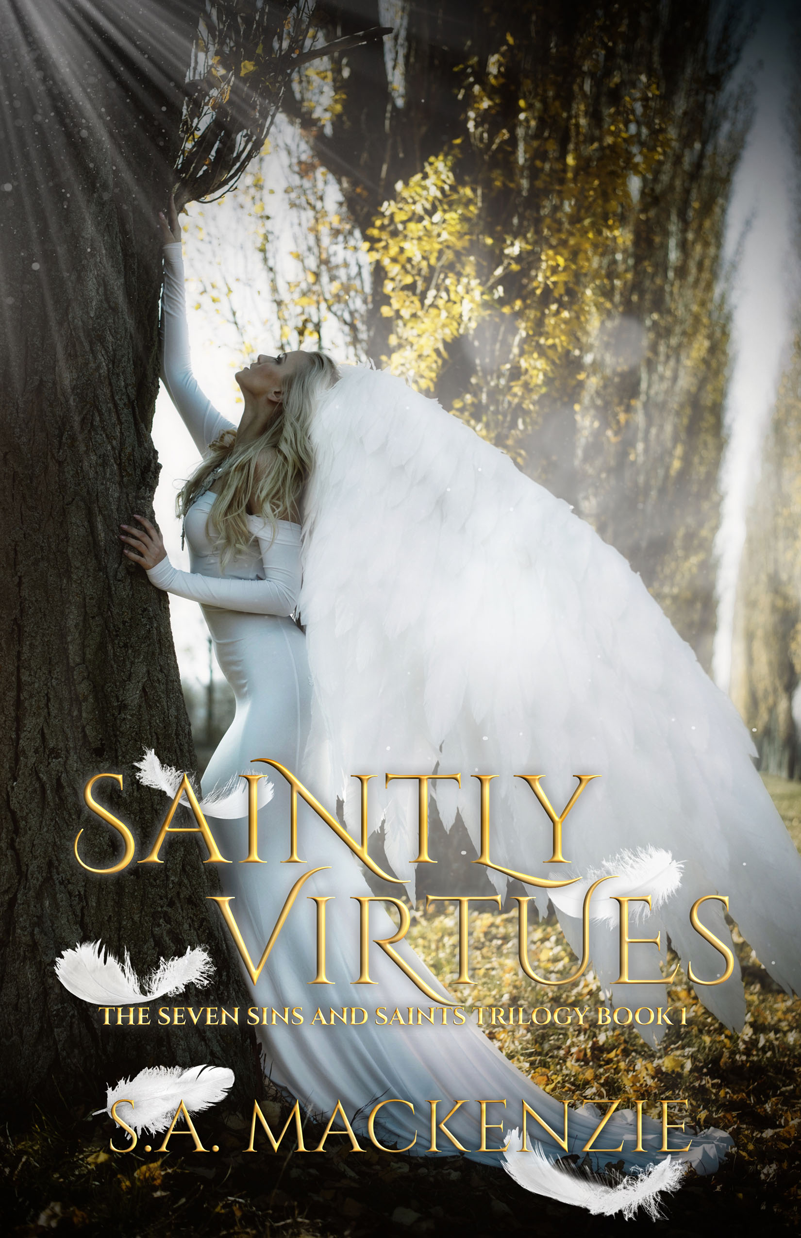 Saintly Virtues (The Seven Sins and Saints, #1)