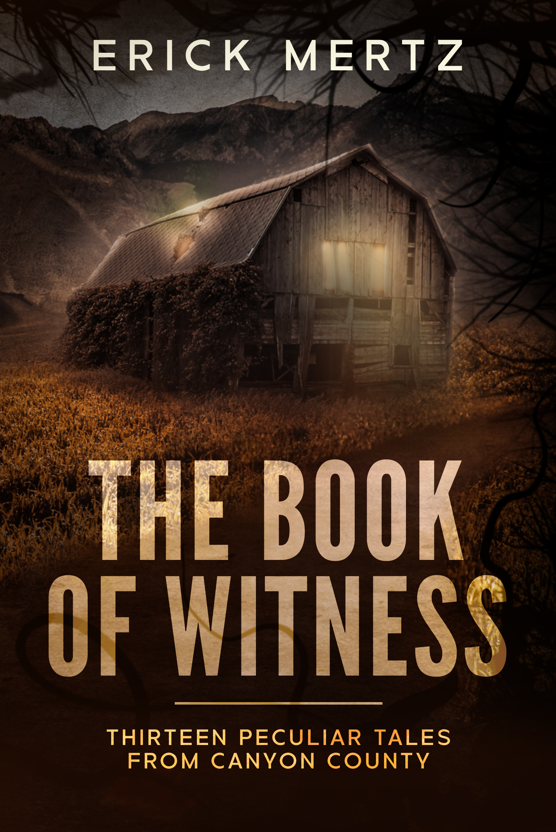 The Book of Witness: 13 Peculiar Paranormal Tales From Canyon County (The Strange Air)