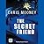 The Secret Friend (Darby McCormick, #2)