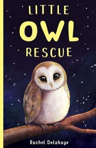 Little Owl Rescue by Rachel Delahaye