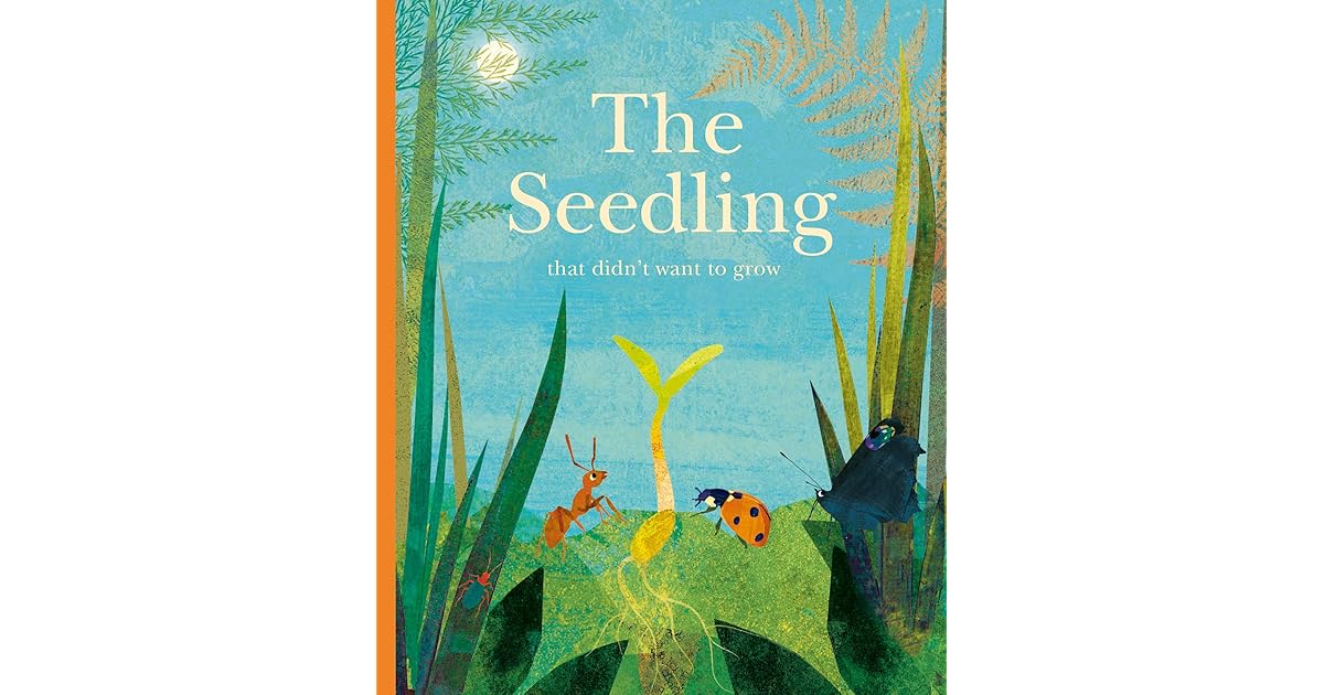 The Seedling That Didn&rsquo;t Want to Grow by Britta Teckentrup