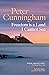 Freedom is a Land I Cannot See by Peter Cunningham