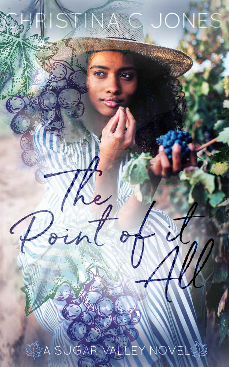The Point of It All (Sugar Valley, #2)