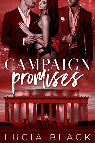 Campaign Promises (Their First Lady #2)