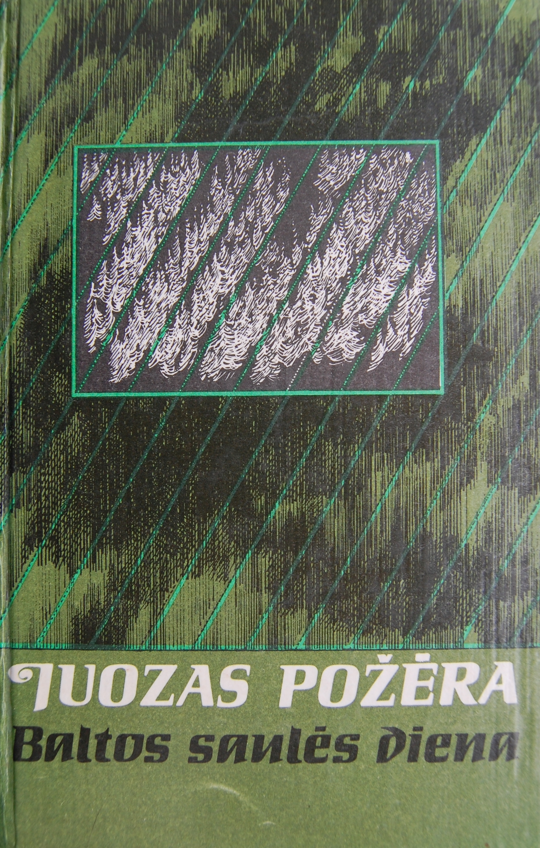 Baltos saulės diena
