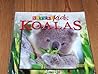 Koalas