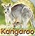 Kangaroo