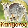 Kangaroo