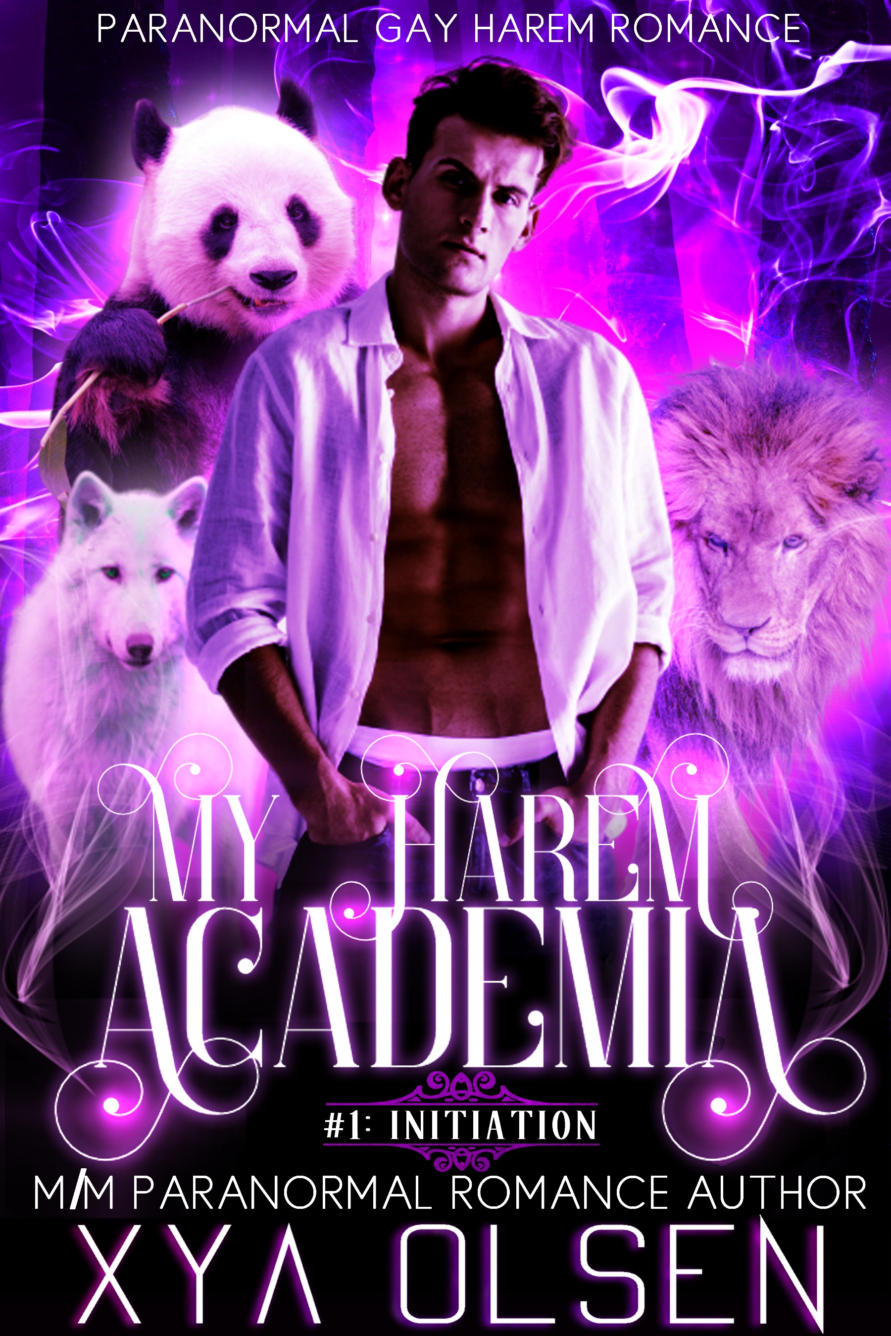Initiation (My Harem Academia #1)