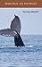 Moby Dick Or, The Whale