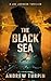 The Black Sea (Joe Johnson #6)