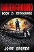 Reckoning (Underground, #2)