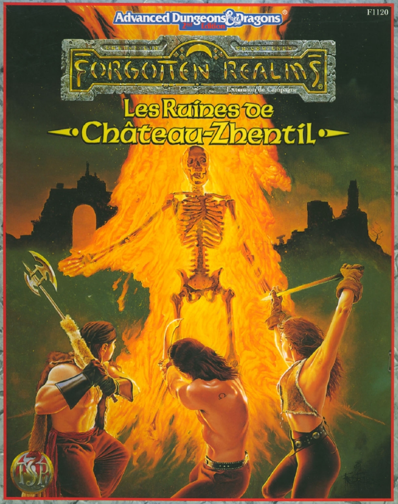 Forgotten Realms Les Ruines De Château-Zhentil (Advanced Dungeons & Dragons 2e édition)