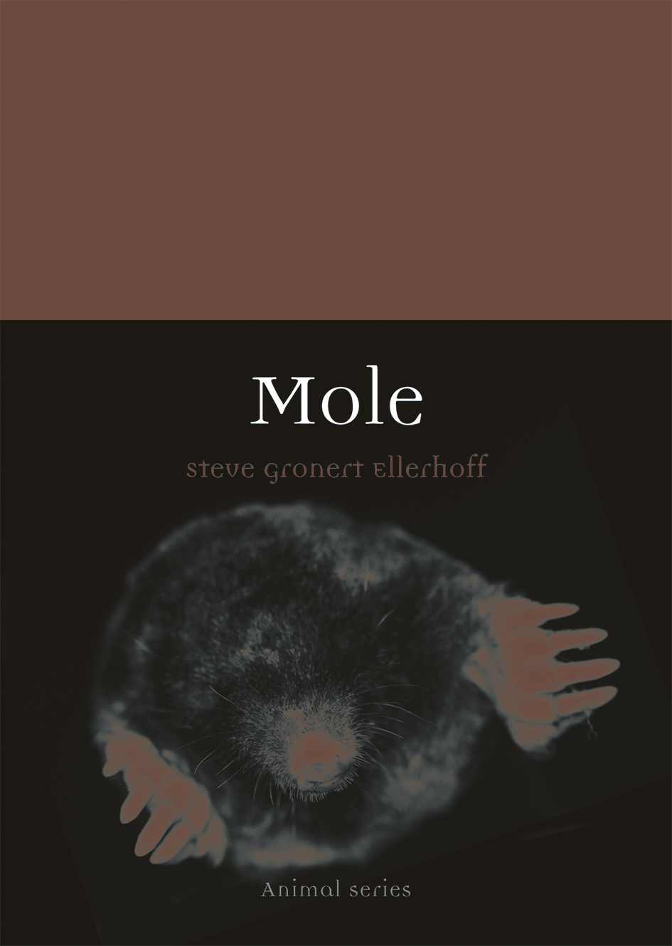 Mole (Paperback)