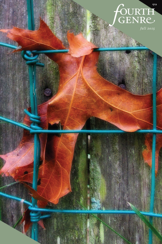 Fourth Genre (Fourth Genre: Explorations in Nonfiction - Journal)