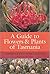 A guide to flowers & plants...