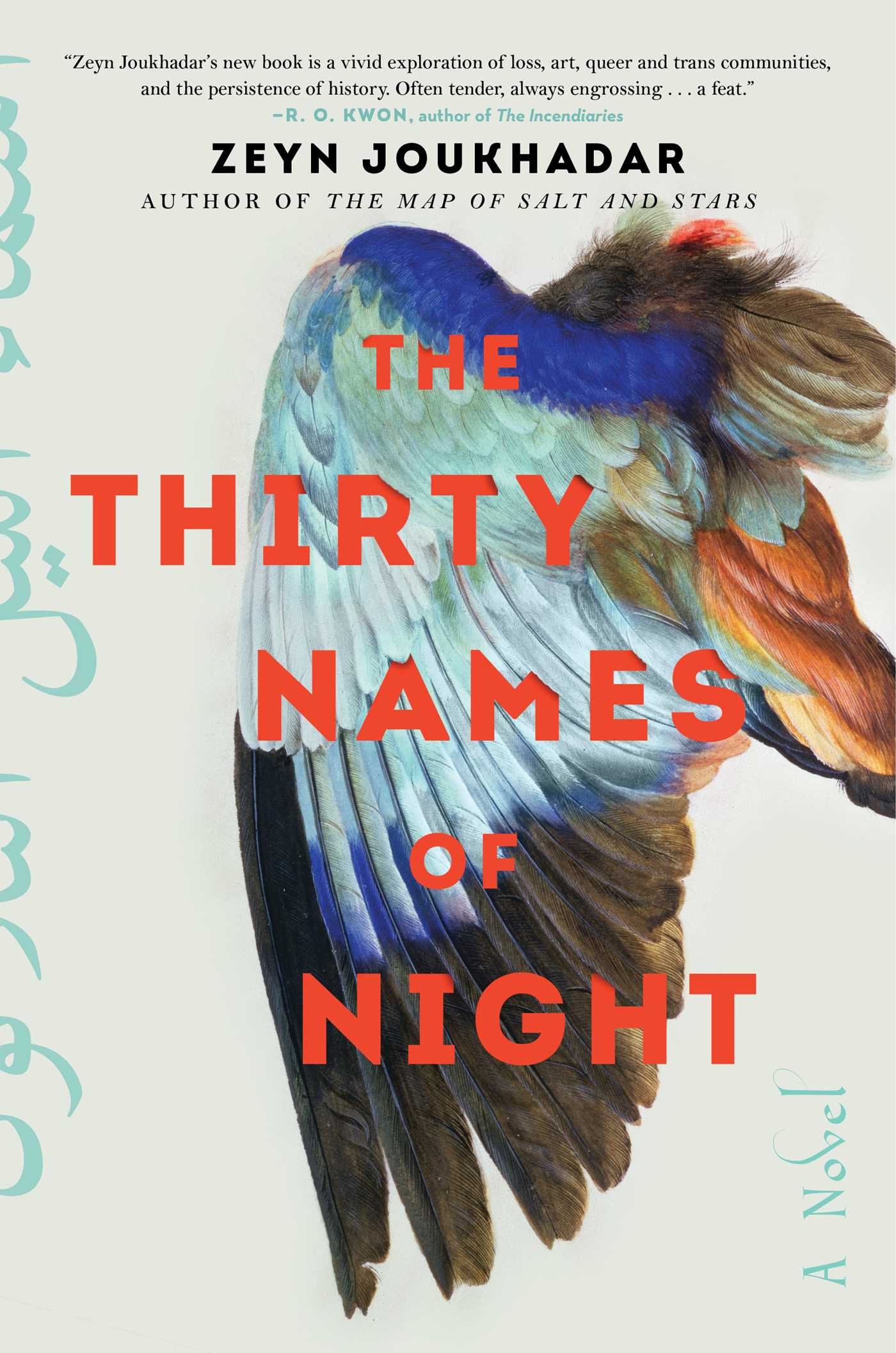 The Thirty Names of Night (Hardcover)