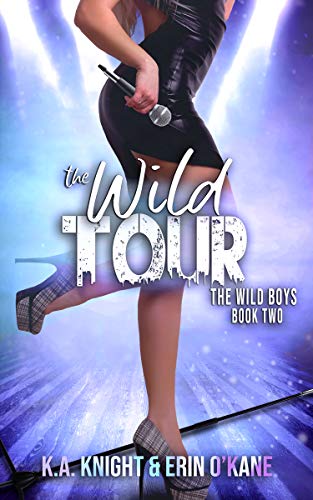 The Wild Tour (The Wild Boys, #2)