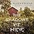 The Shadows We Hide (Joe Talbert, #2)