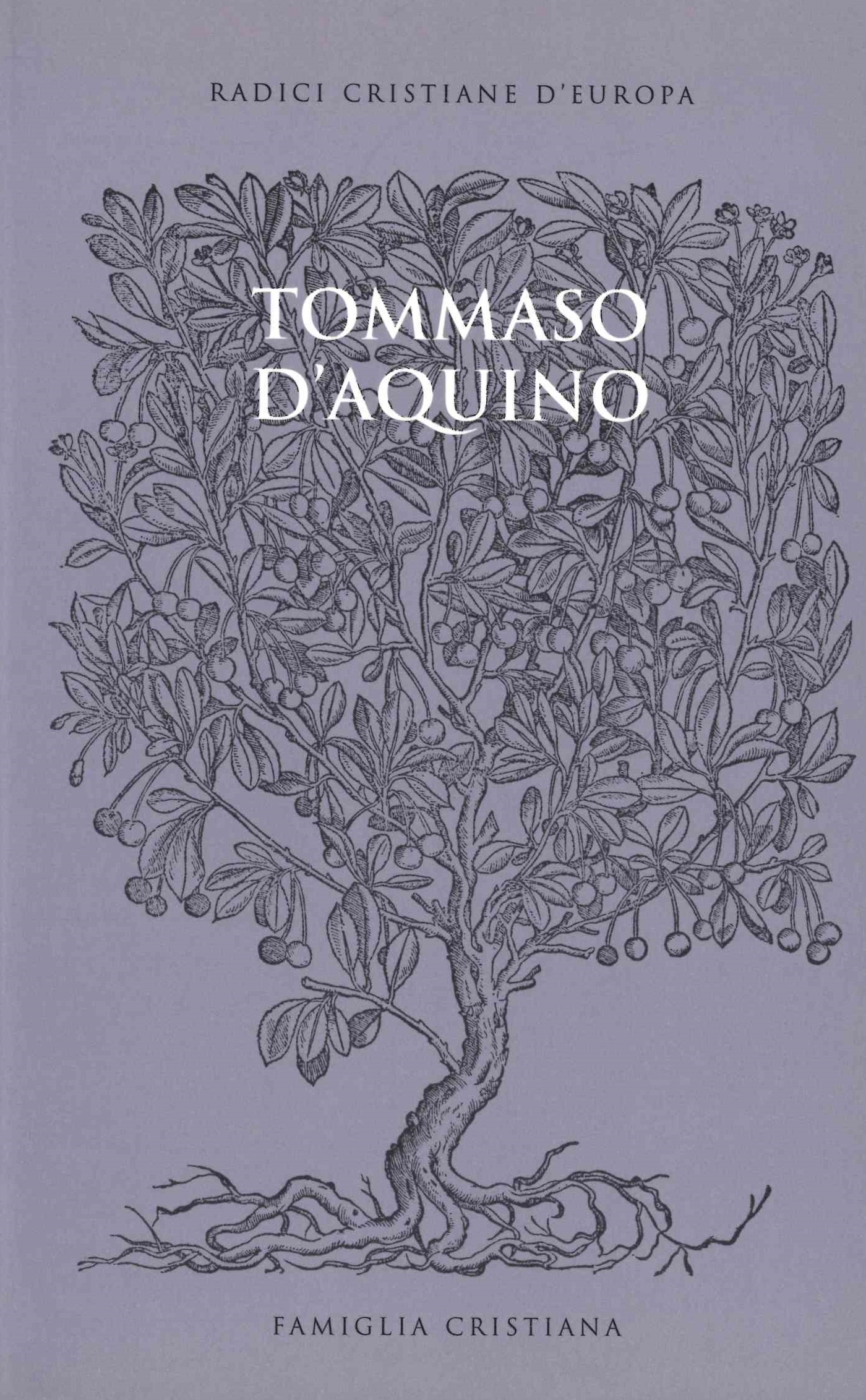 Tommaso d'Aquino