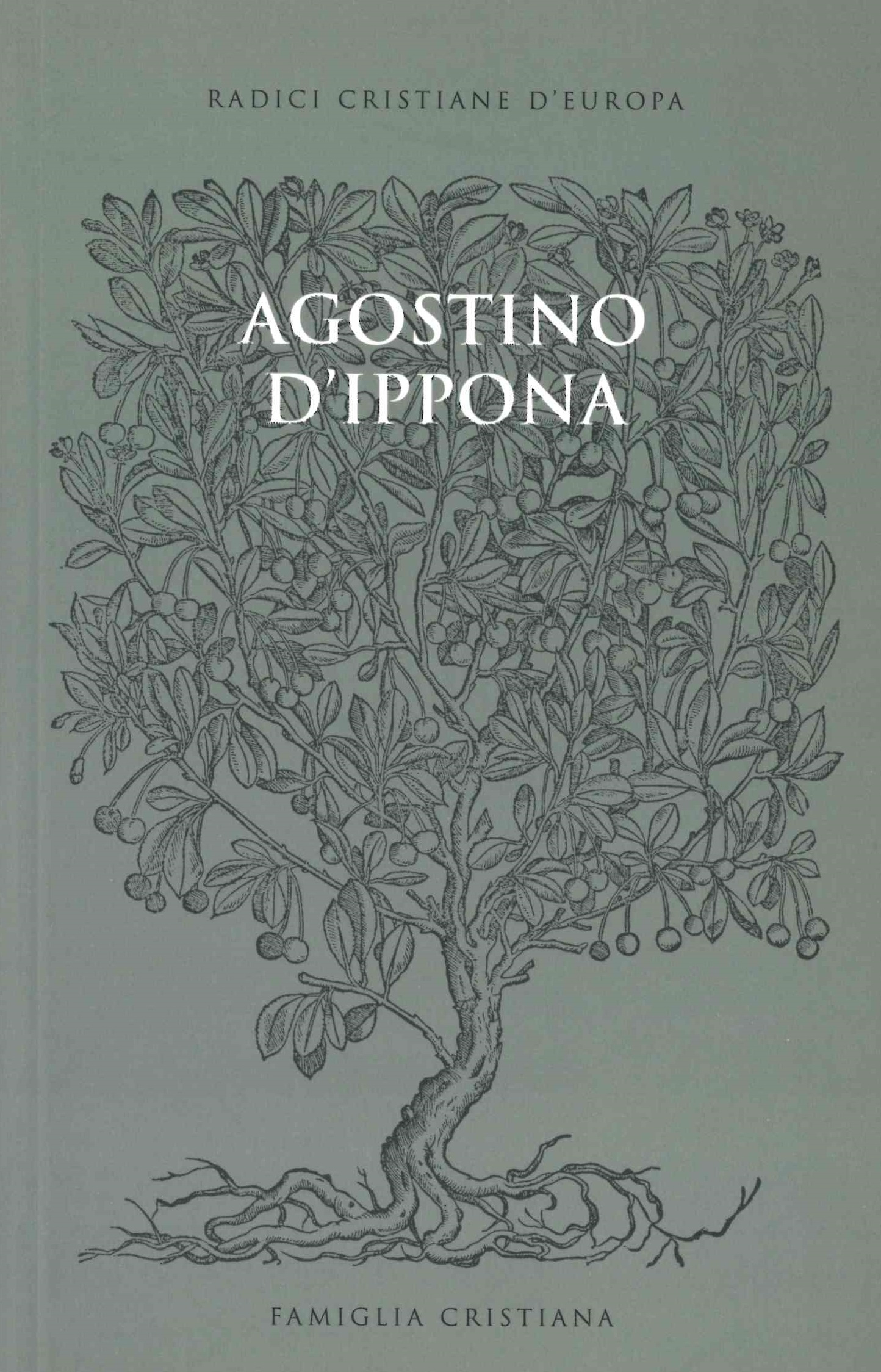 Agostino d'Ippona