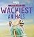 Lonely Planet World's Wackiest Animals (Lonely Planet Kids)