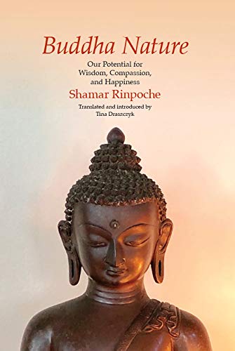 Buddha Nature: Our Potential for Wisdom, Compassion, and Happiness (Paperback)