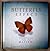 The Butterfly Effect (Everything You Do Matters)