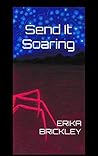 Send It Soaring by Erika Brickley