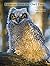 Lessons From The Owl Tree: ...