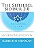 Shtiebel Siddur 2.0: A New ...