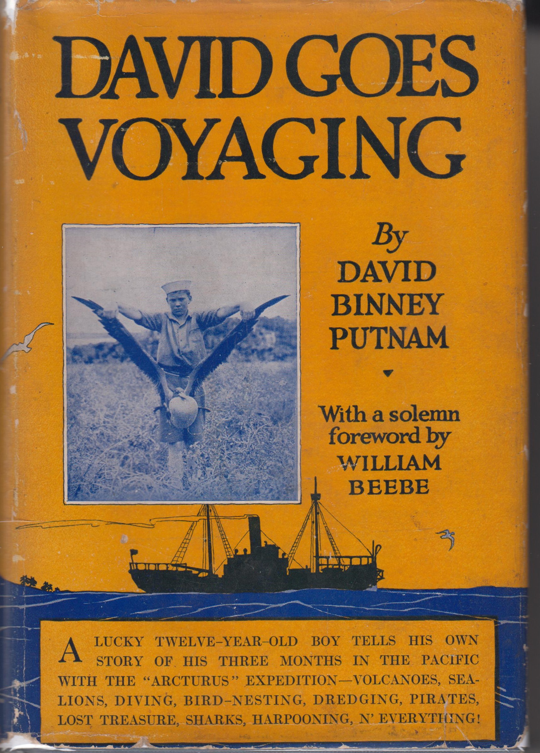 David Goes Voyaging