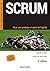 Scrum - 5e éd. : Pour une pratique vivante de l'agilité (French Edition)