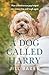 A Dog Called Harry