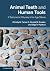 Animal Teeth and Human Tool...