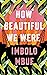 How Beautiful We Were by Imbolo Mbue