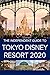The Independent Guide to Tokyo Disney Resort 2020 by G. Costa