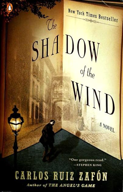 The Shadow of the Wind (The Cemetery of Forgotten Books, #1)