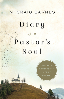 Diary of a Pastor's Soul: The Holy Moments in a Life of Ministry (Paperback)