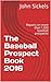The Baseball Prospect Book ...