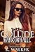 Collide (Madison Falls High, #1)