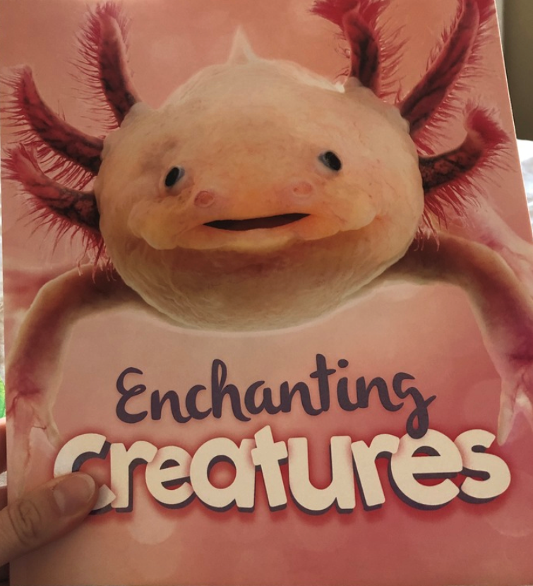 Enchanting Creatures (Paperback)