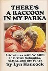 There's a Raccoon...