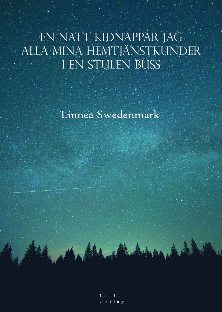 En natt kidnappar jag alla mina hemtjänstkunder i en stulen buss (Paperback)