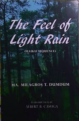 The Feel of Light Rain